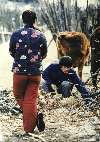 1 (87)����.jpg