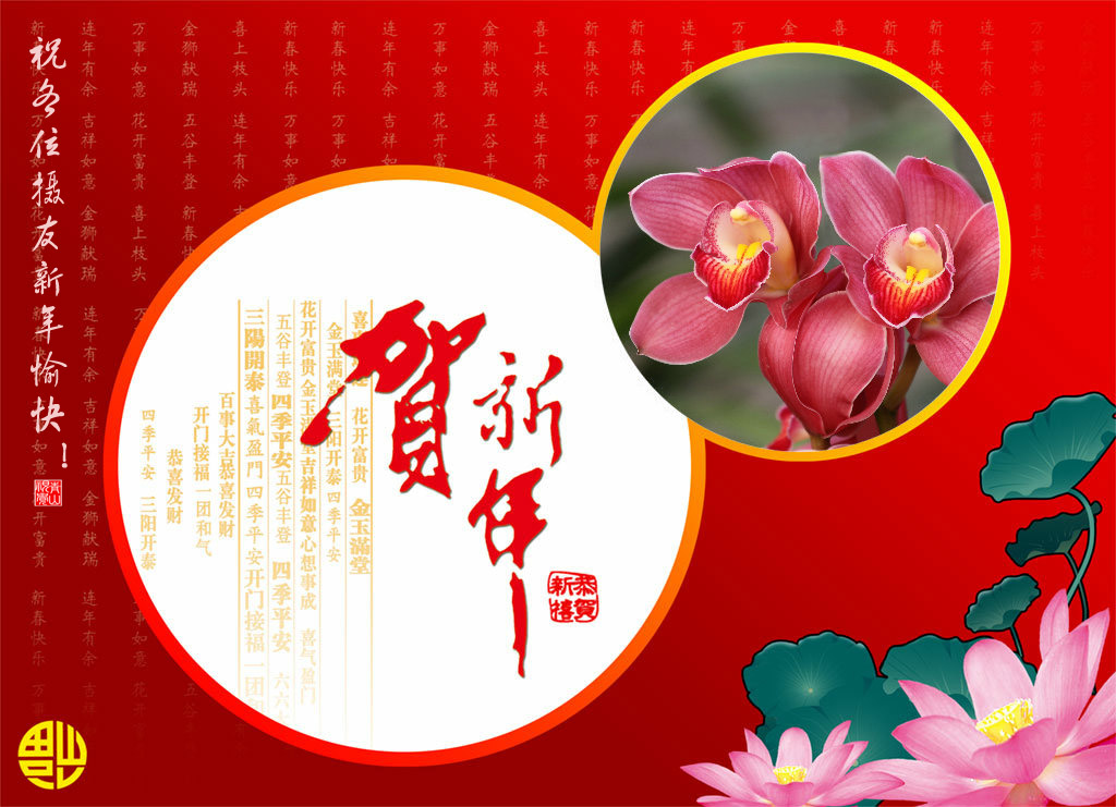 ���� IMG_3541.JPG