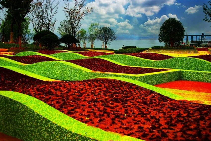 ��ʯ������԰�ڽ���ĵ�������̳