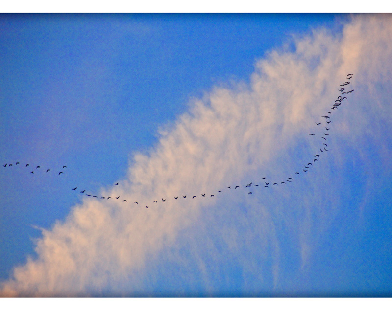 ��С�� (1)0.JPG