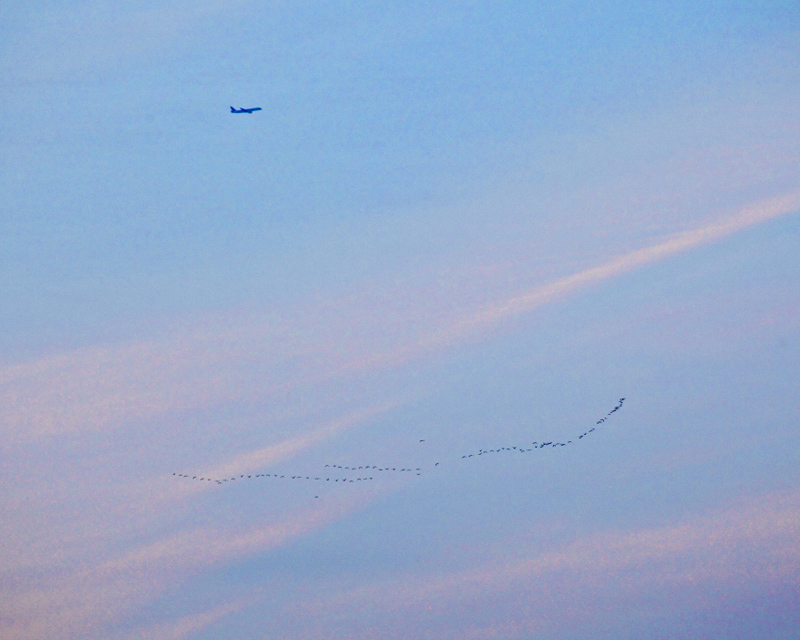 ��С�� (2)0.JPG