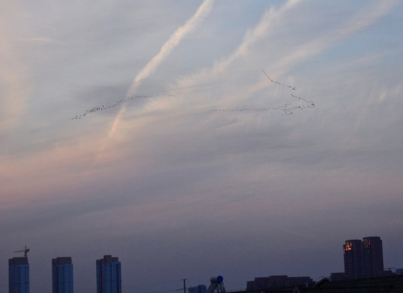 ��С�� (3)0.JPG