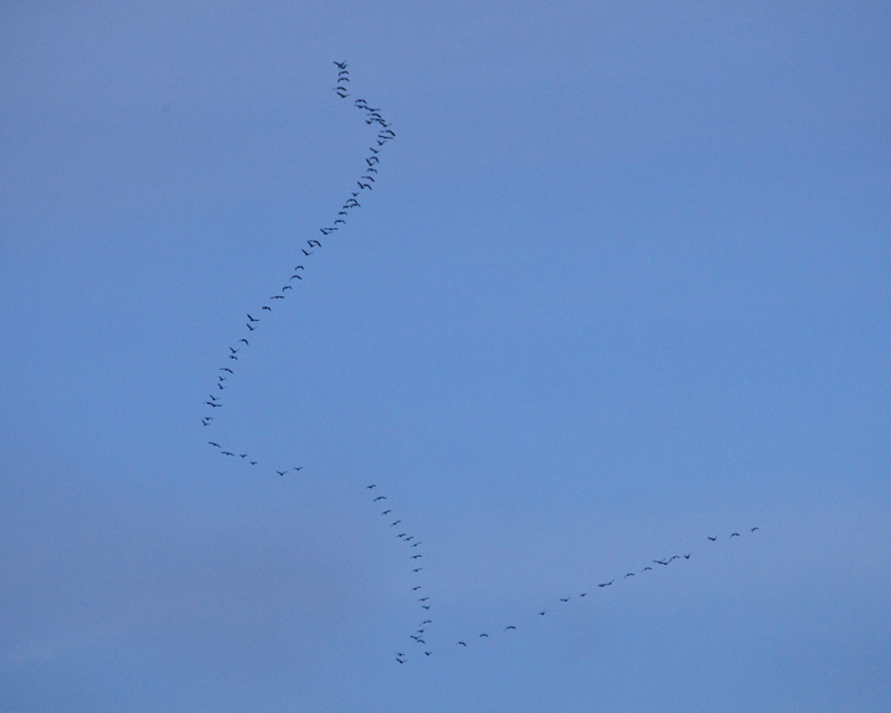 ��С�� (4)0.JPG