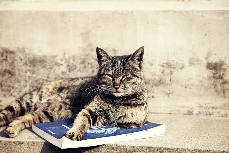 ��Ƭ 040_����_����.jpg