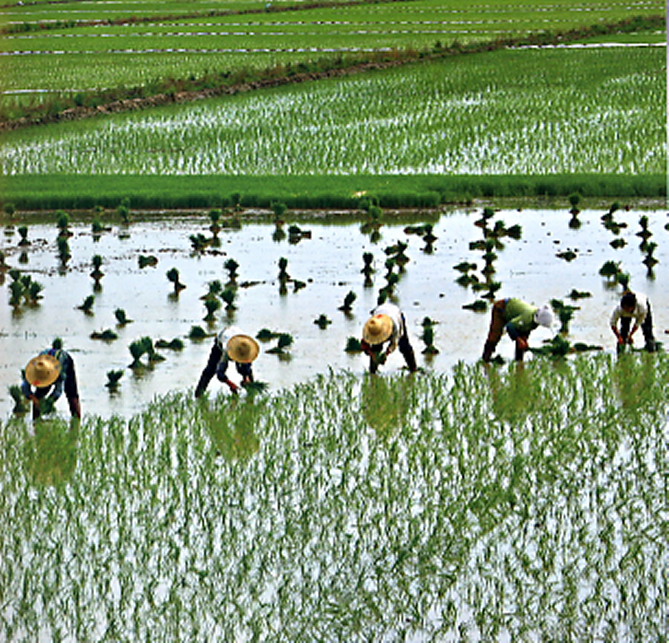 ����ȫ�� (2).JPG