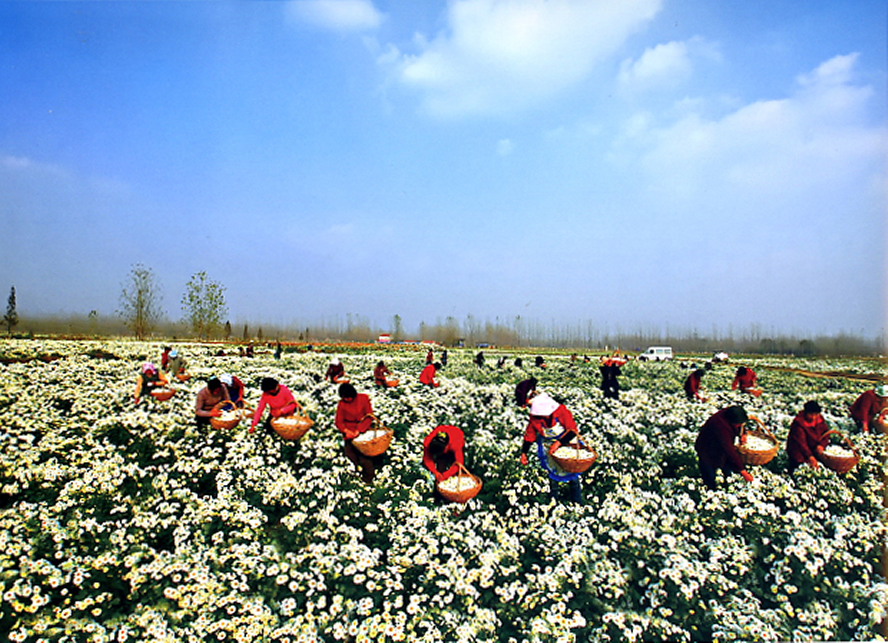 ����ȫ�� (3).JPG