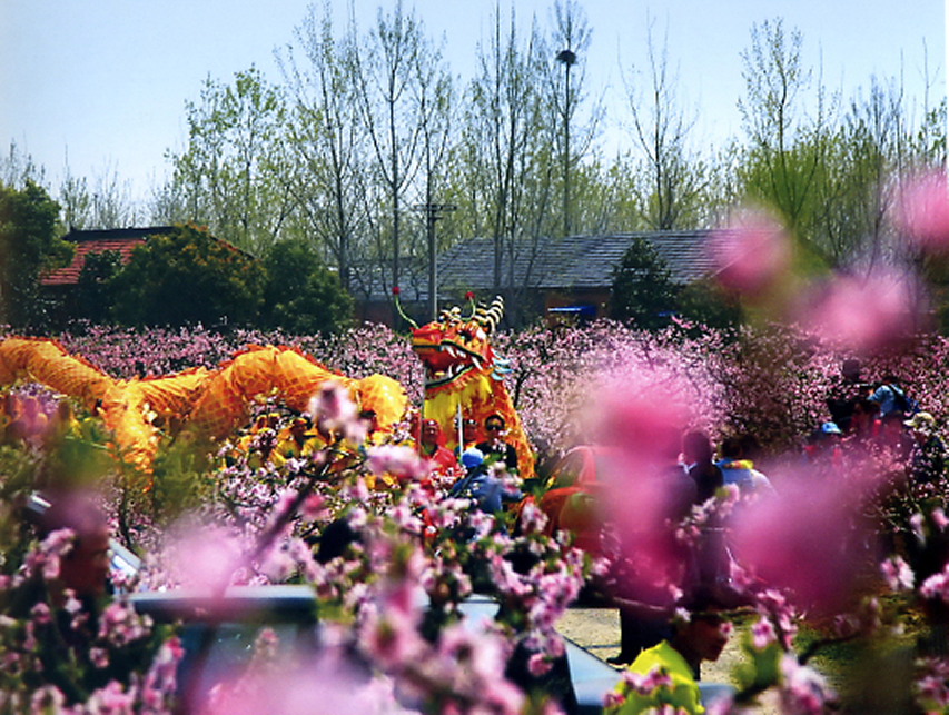 ����ȫ�� (6).JPG