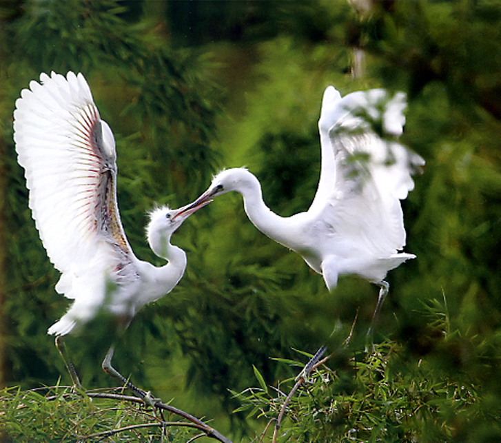 ����ȫ�� (8).JPG