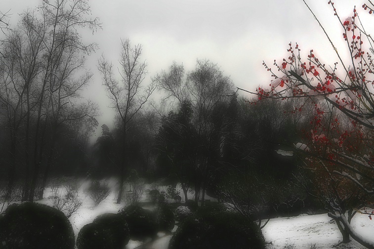 ���� IMG_9610.JPG