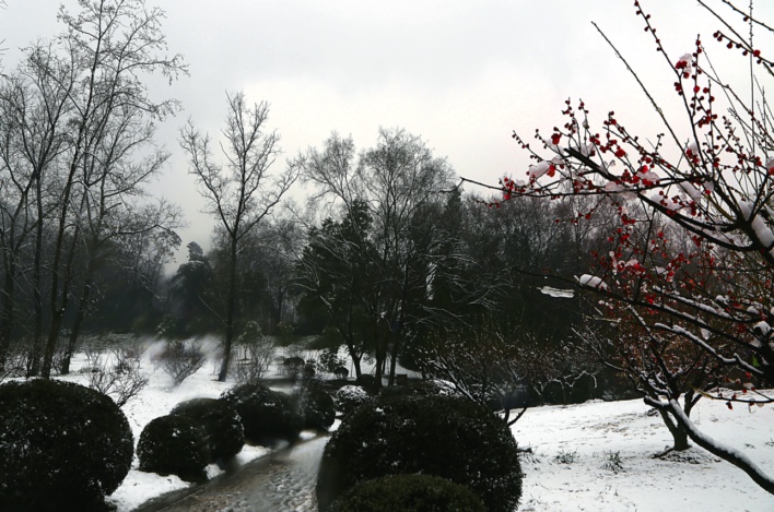 ���� (2) IMG_9610.JPG