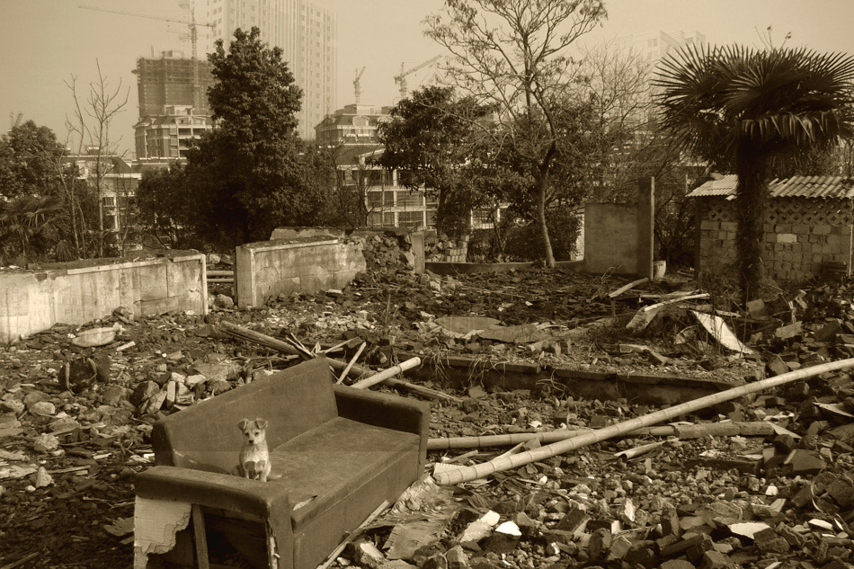 ���� IMG_7206����.jpg