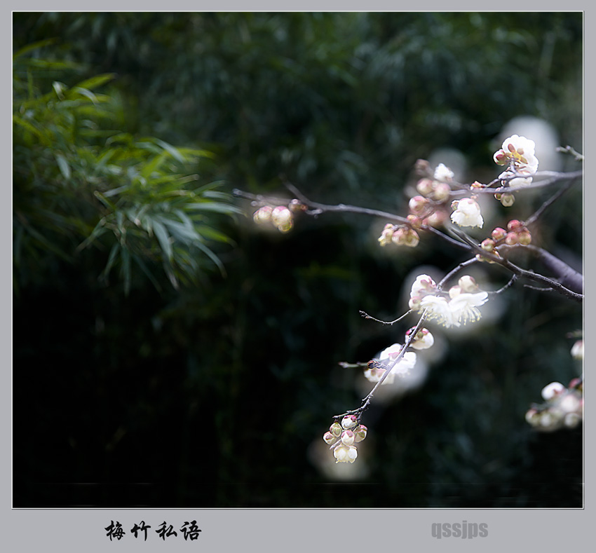 _D4A2883 ����.jpg