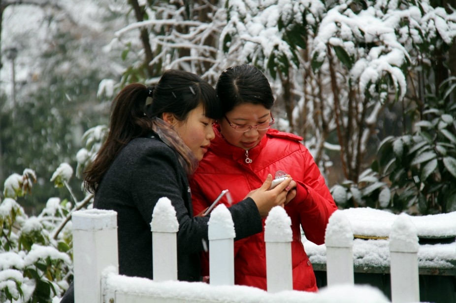 ��ѩ�����ġ���������