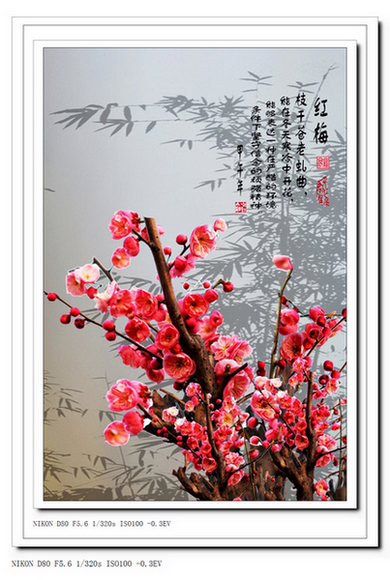 ���� DSC_1318_conew11.jpg