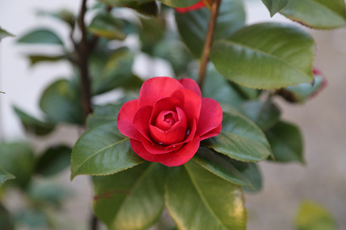 772A0615 - ����_����.jpg