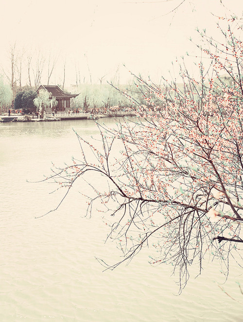 ��Ƭ 147_����_����_����.jpg