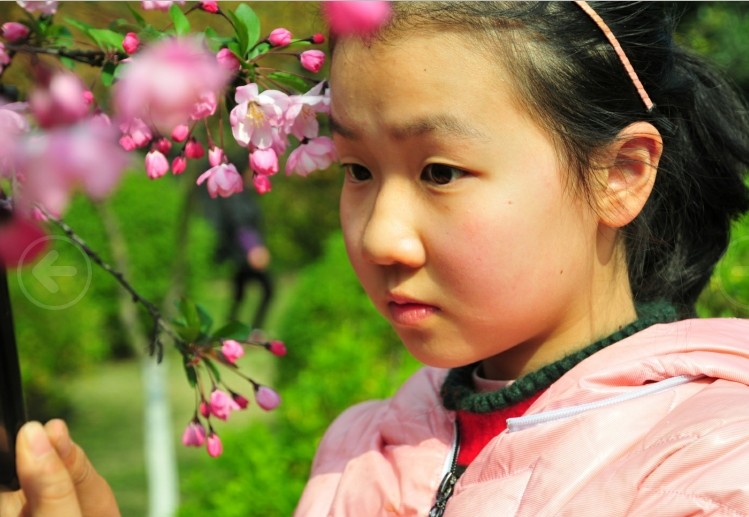 �ֻ�������