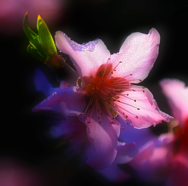 ���� ���� IMG_1265.JPG