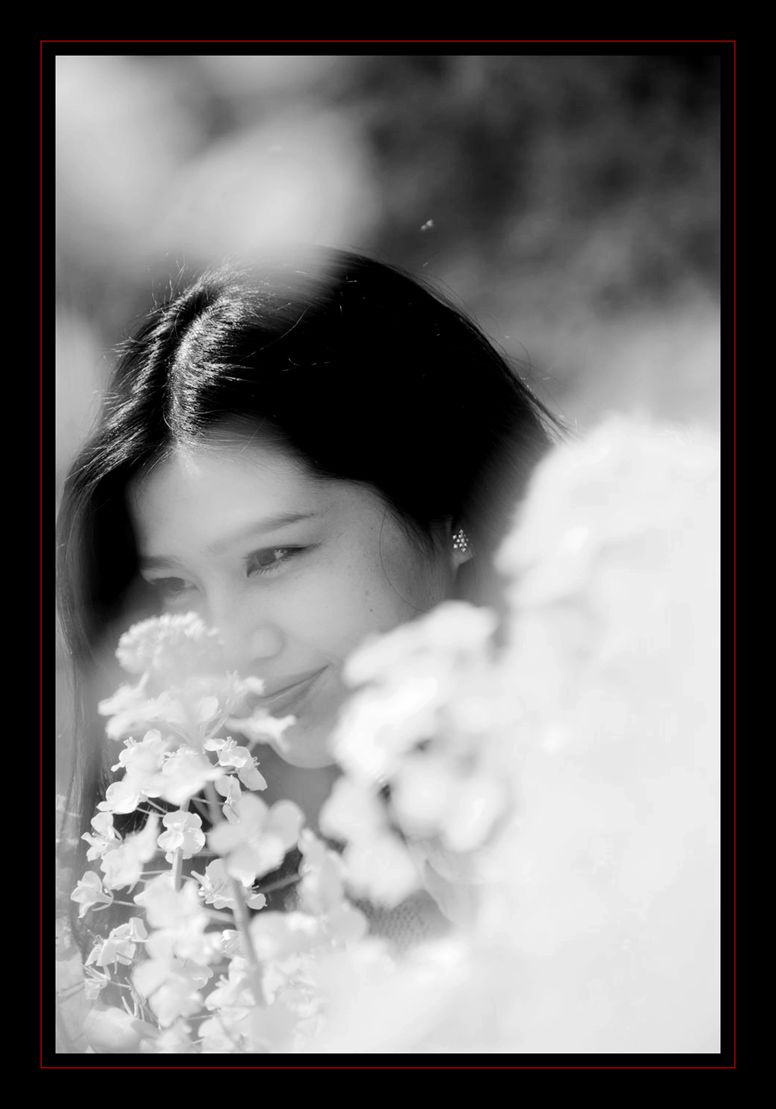 ���ڴ���