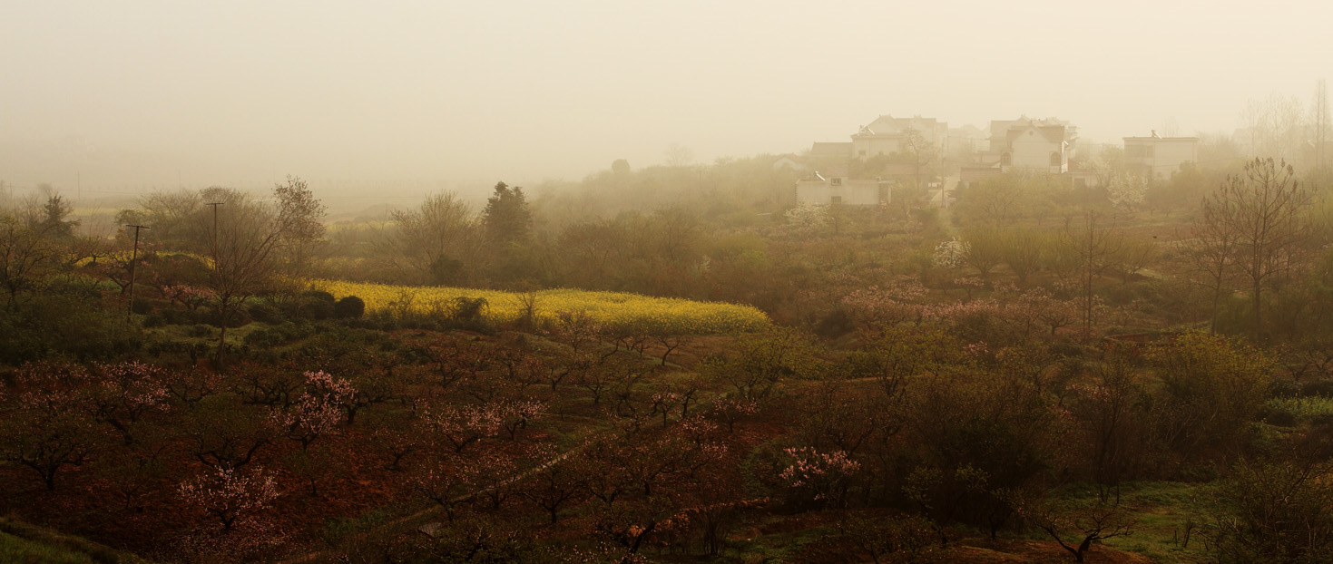 IMG_3001 ����.jpg