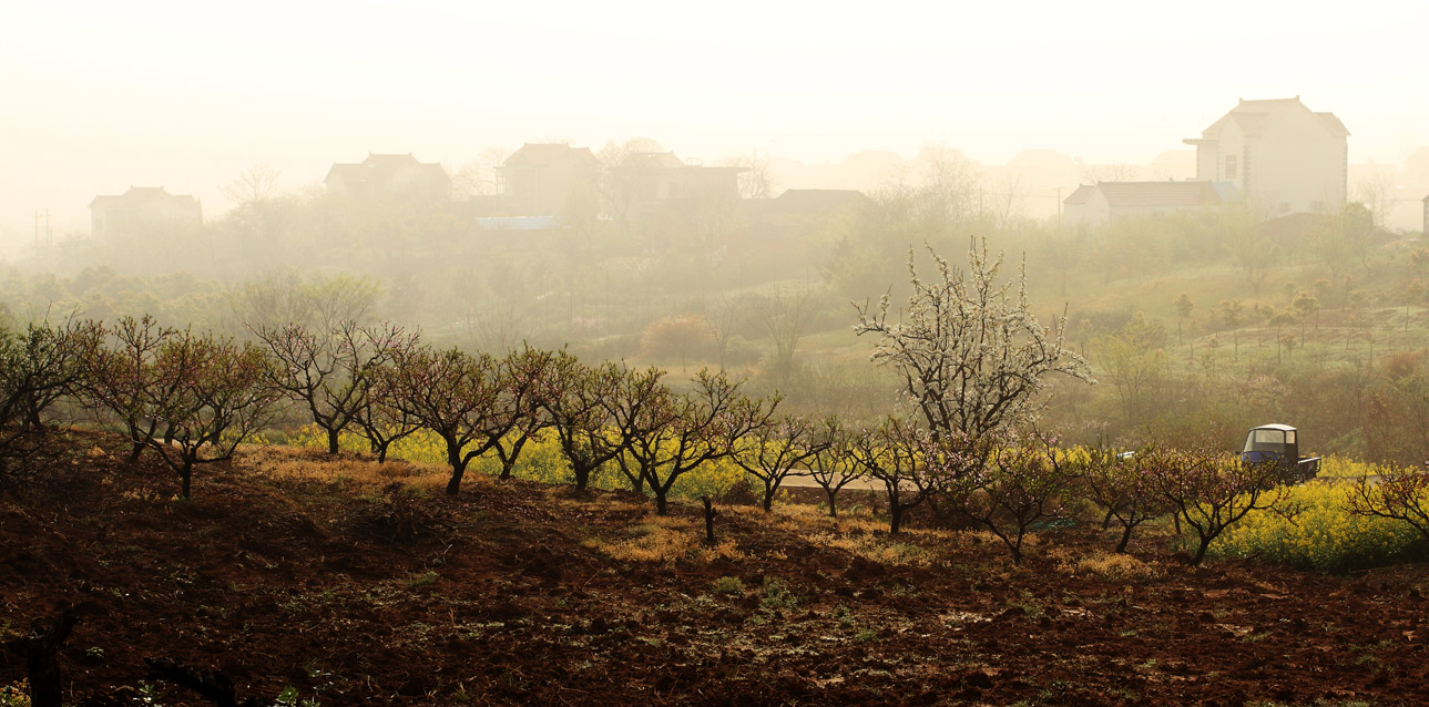 IMG_3006 ����.jpg