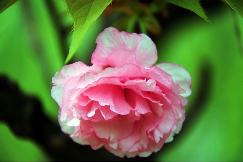 ���������أ�������Ŀ����������