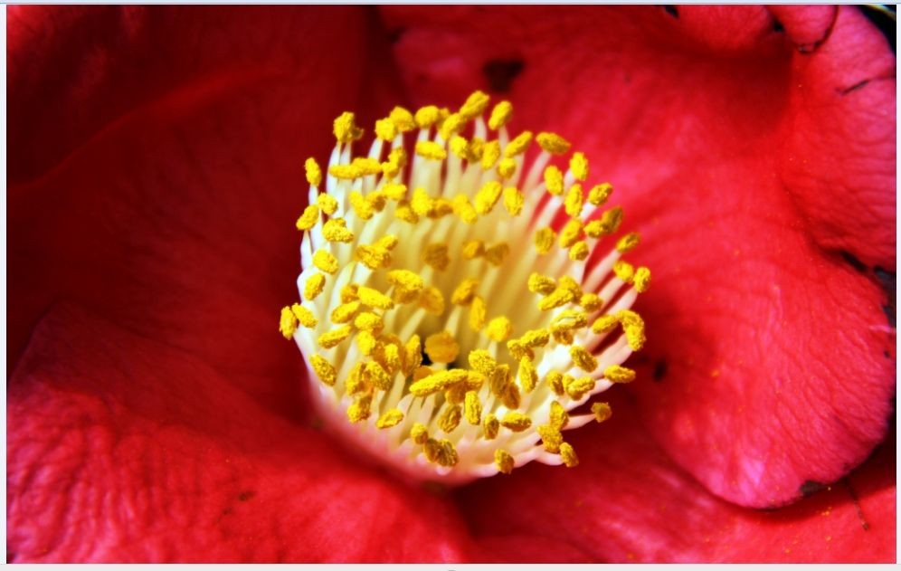 ���������أ�������Ŀ����������