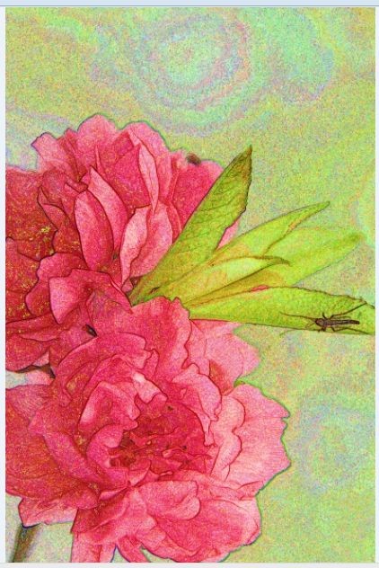 ���������أ�������Ŀ����������