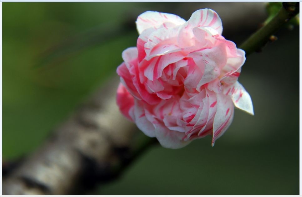 ���������أ�������Ŀ����������