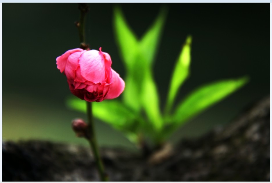 ���������أ�������Ŀ����������