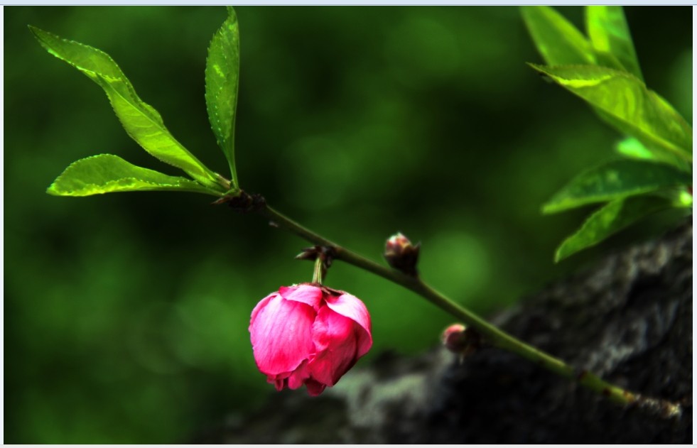 ���������أ�������Ŀ����������