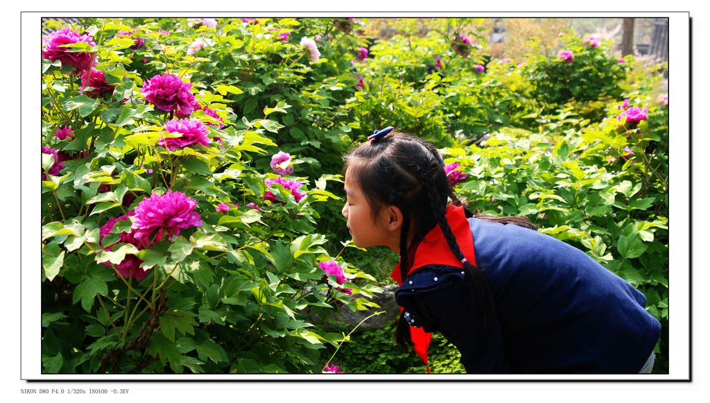 ���� DSC_3104.JPG