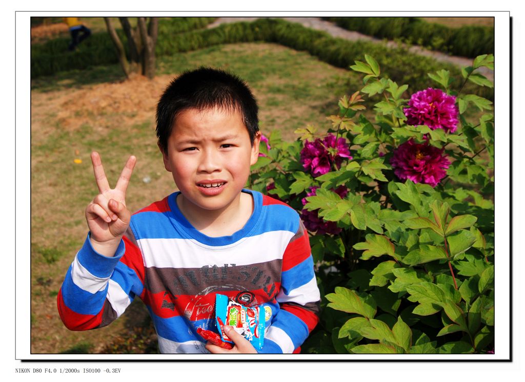 ���� DSC_3108.JPG