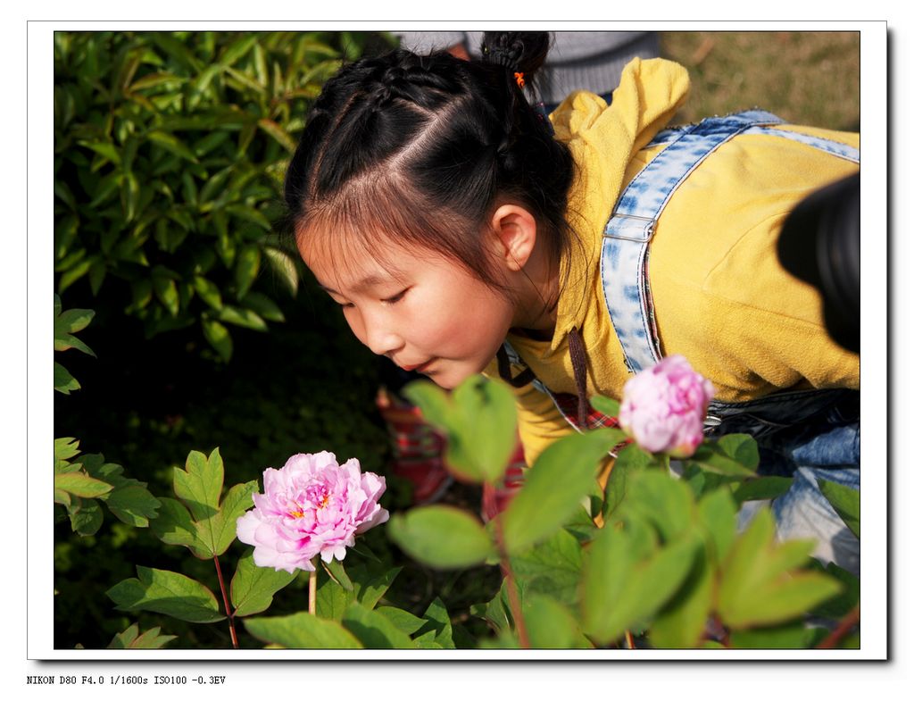 ���� DSC_3112.JPG