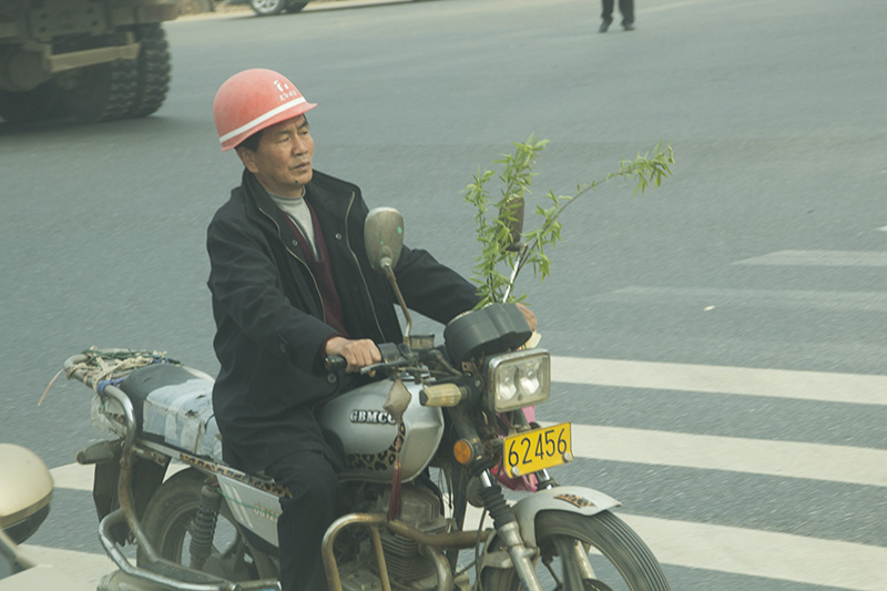 ��˼һƬ��������