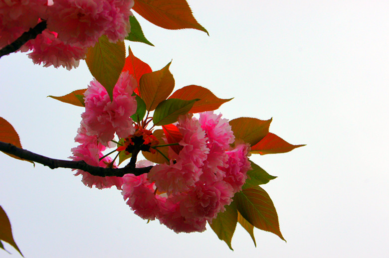 DSC02773_���� - ����.jpg