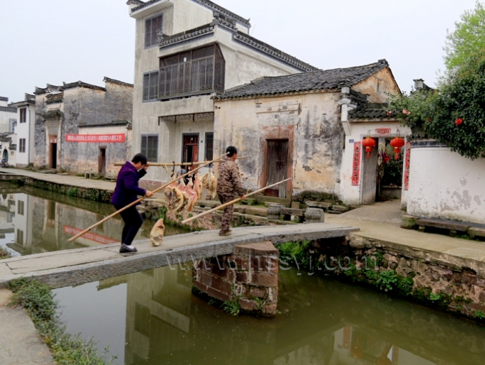 ���Ƚ� ����1.JPG