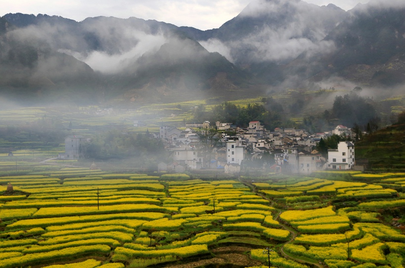 ���� IMG_2224.JPG