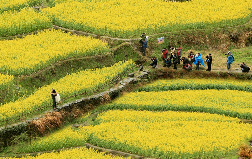 ���� IMG_2493.JPG