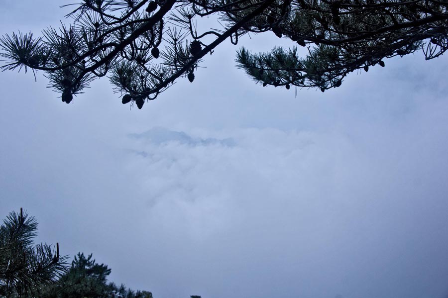 �����Ƶ� (4).jpg