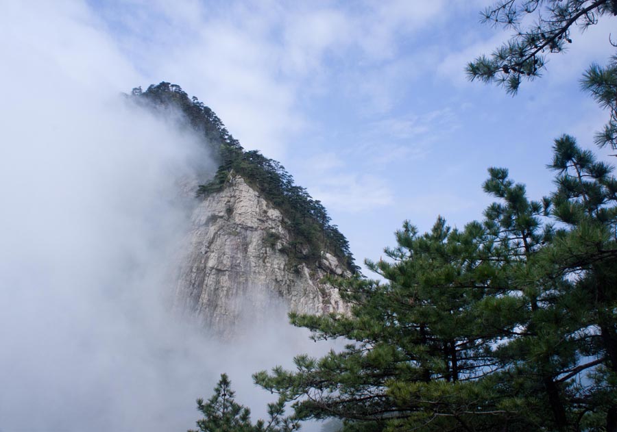 �����Ƶ� (5).jpg