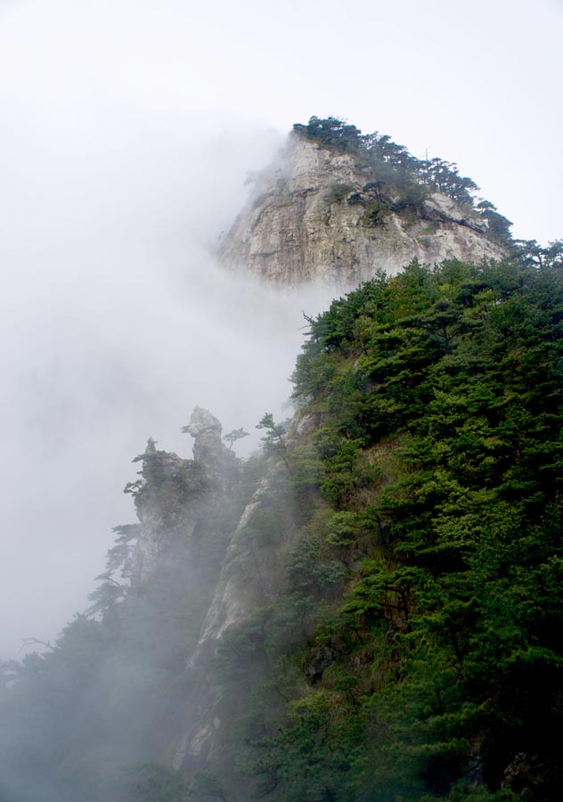 �����Ƶ� (10).jpg