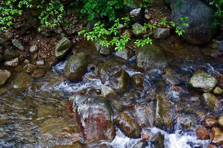 �����Ƶ� (2).jpg