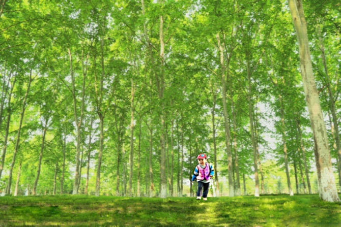 ���� IMG_5666.JPG