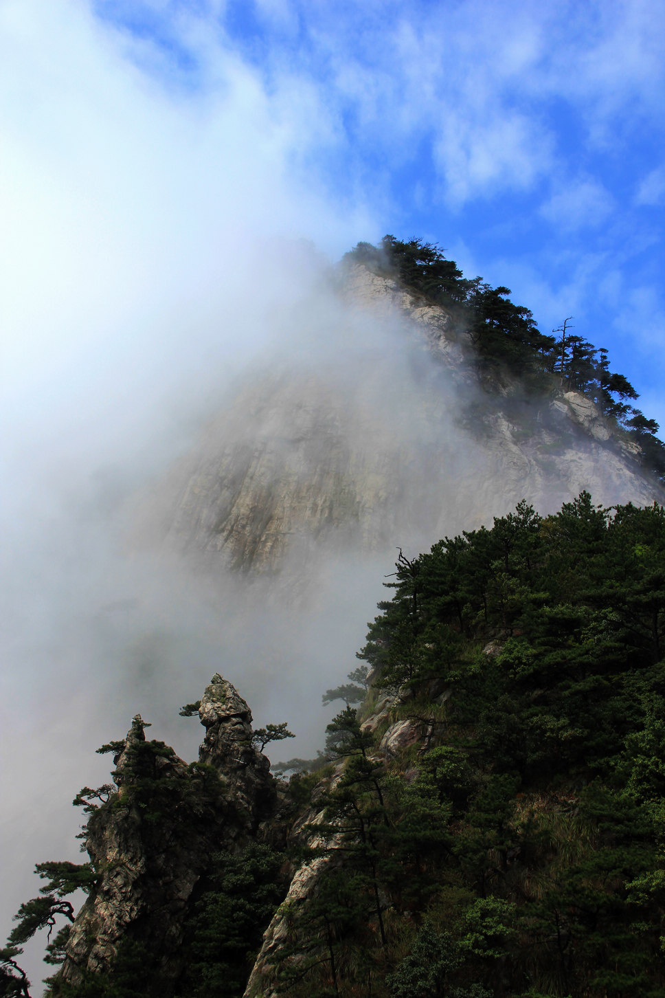 ������ɫ