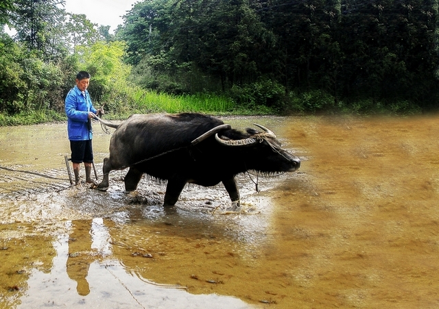 ����02 DSC_6508.jpg