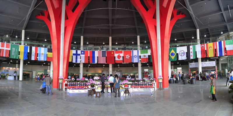 _D4A6761 Panorama ����.jpg