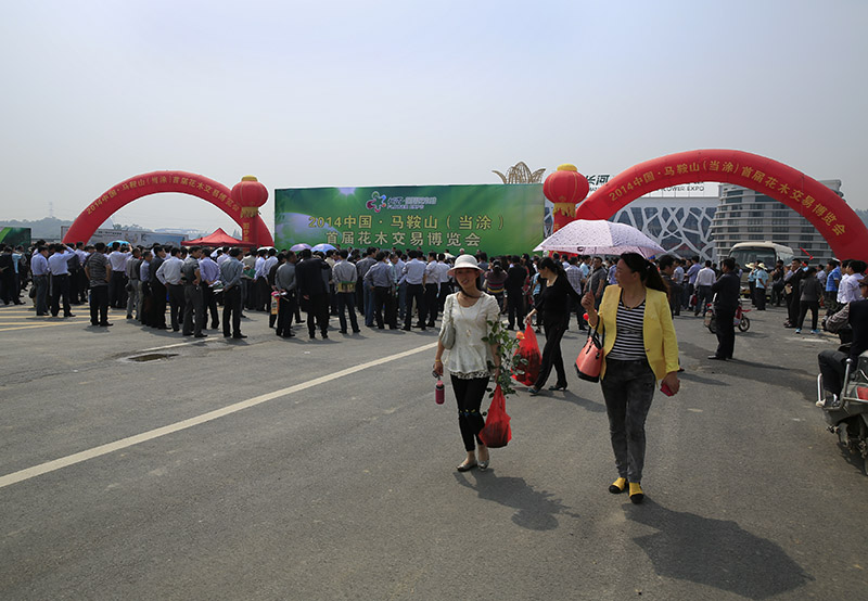 _D4A6715 ����.jpg