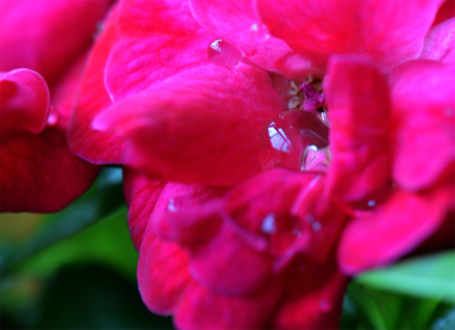 ����ˮ��