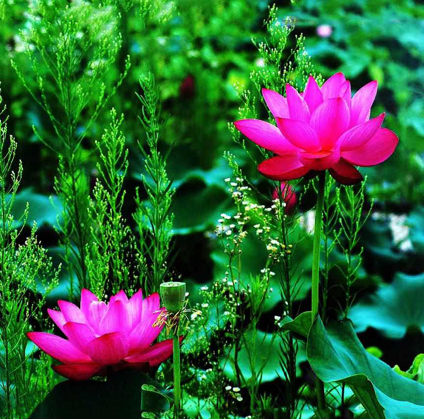 ���� DSC_0092_conew1_����.jpg